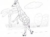 Roller skating giraffe